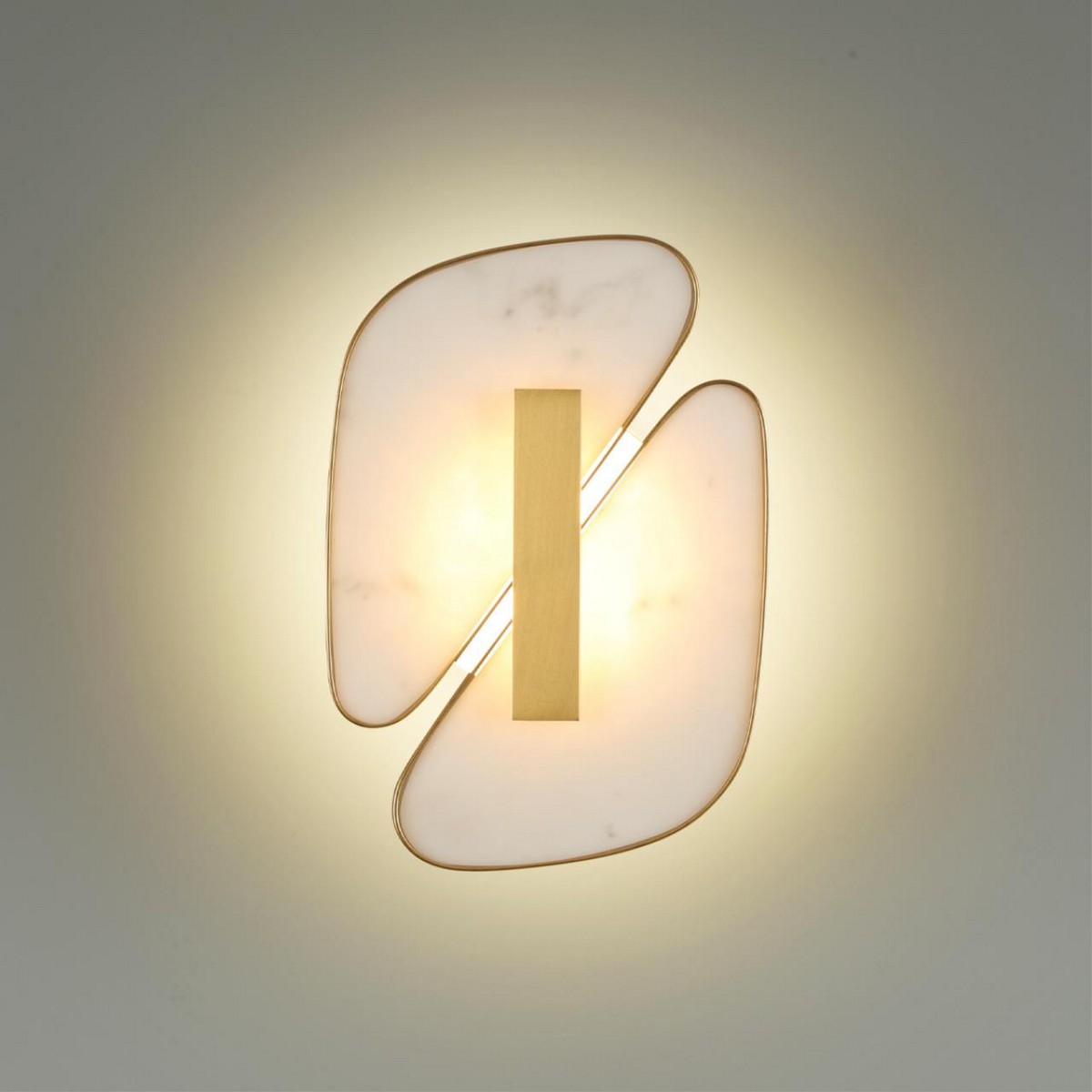 Накладные светодиодные светильники Настенный светильник ODEON LIGHT 6638/10WL CHIARA 