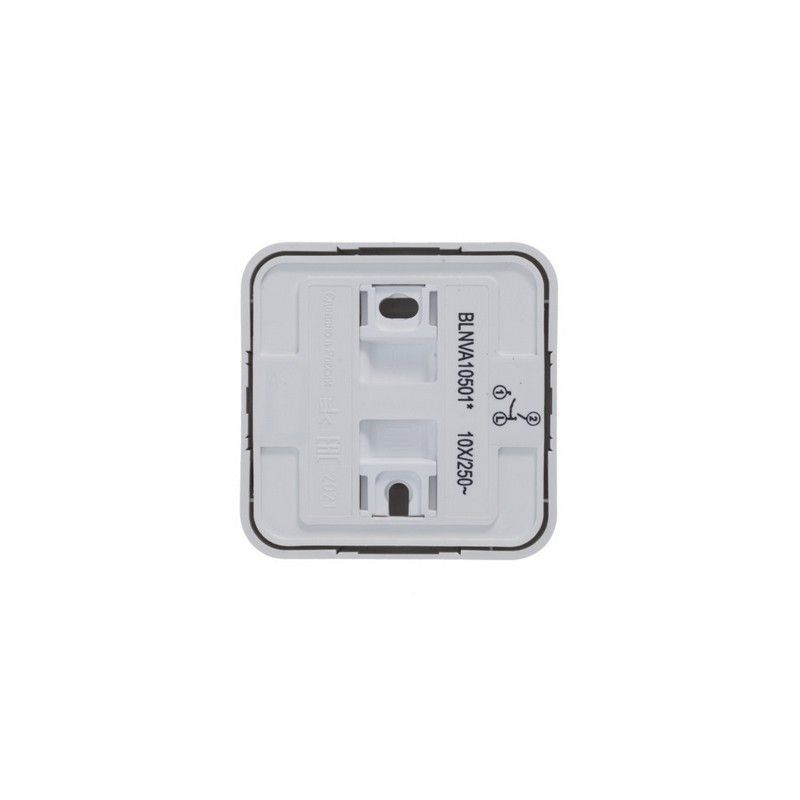 Blanca белые розетки и выключатели Выключатель SE Blanca 2-клавишный Белый наружный изолир. пластина BLNVA105011