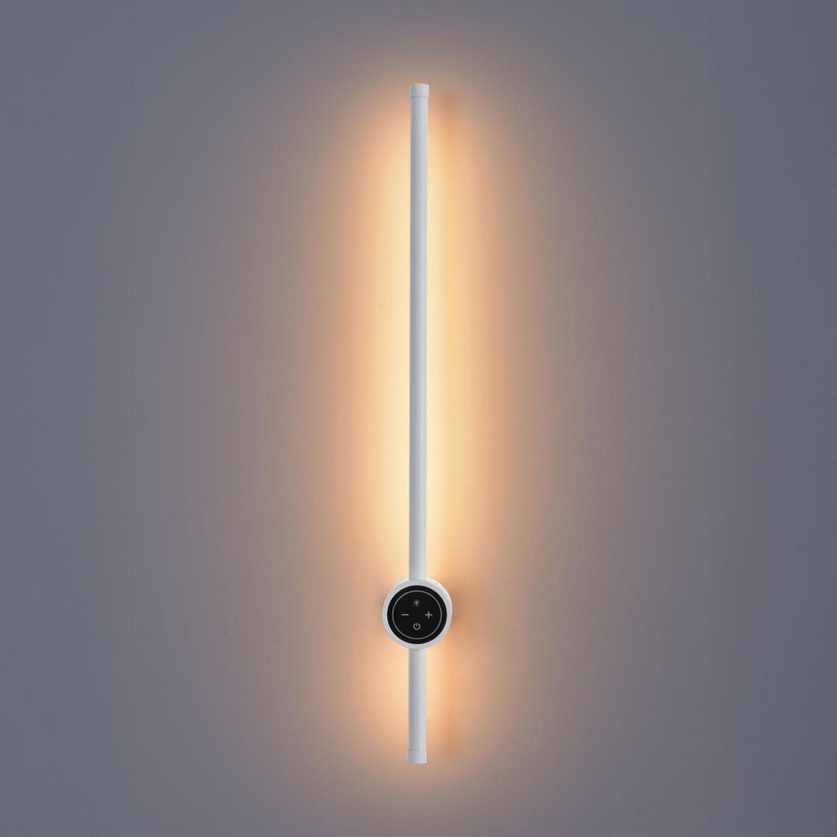 Накладные светодиодные светильники Настенный светильник LUMION 8309/12WL BRAM 