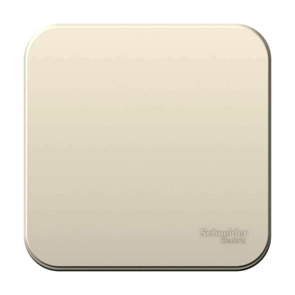 Blanca молочные розетки и выключатели Выключатель SE Blanca 1-клавишный Молочный наружный изолир. пластина BLNVA101012