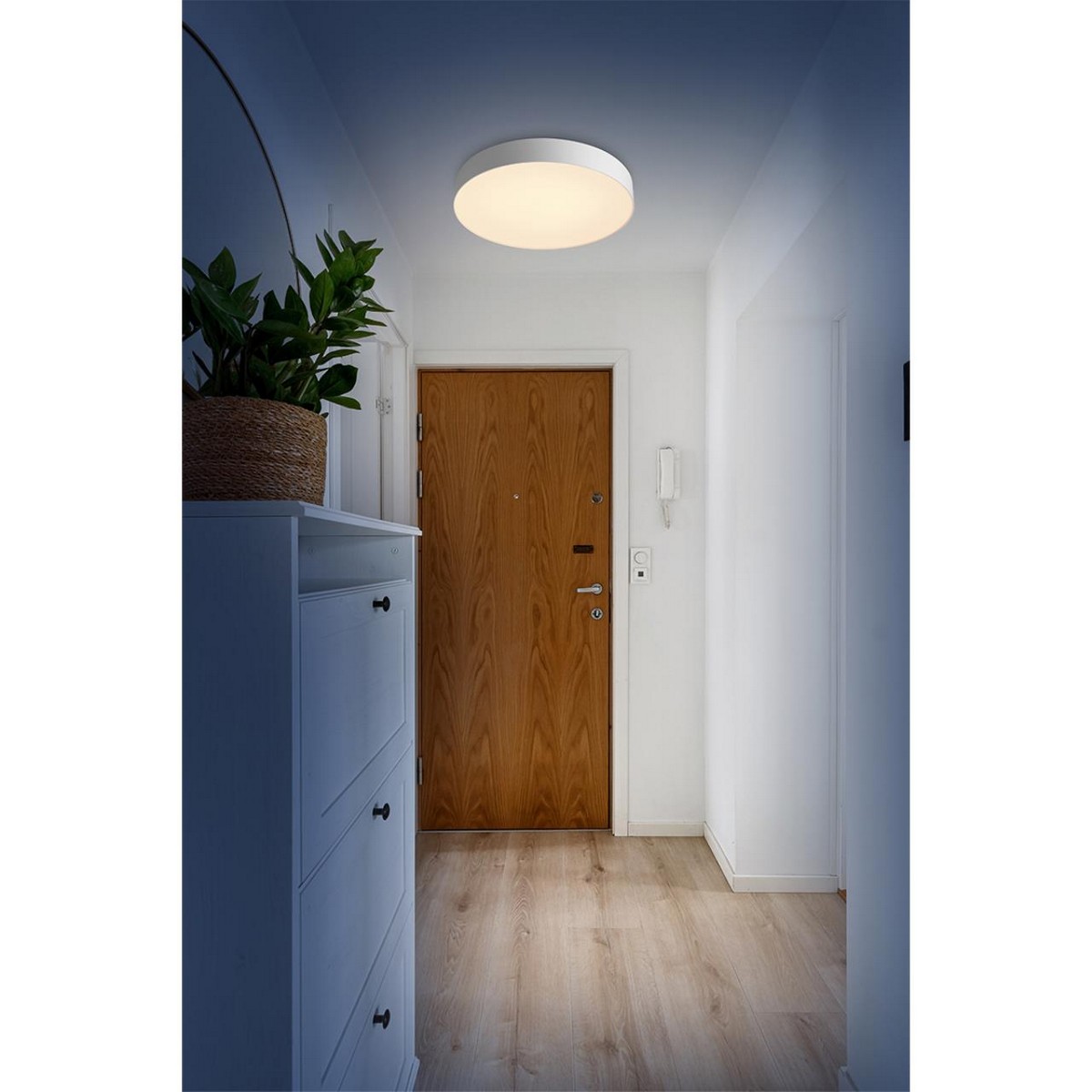 Накладные светодиодные светильники Настенно-потолочный светильник СОНЕКС 7779/ELN OPTIMA 