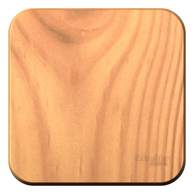 Blanca ясень розетки и выключатели Выключатель SE Blanca 1-клавишный Ясень наружный с самовозвратом изолир. пластина BLNCA101015