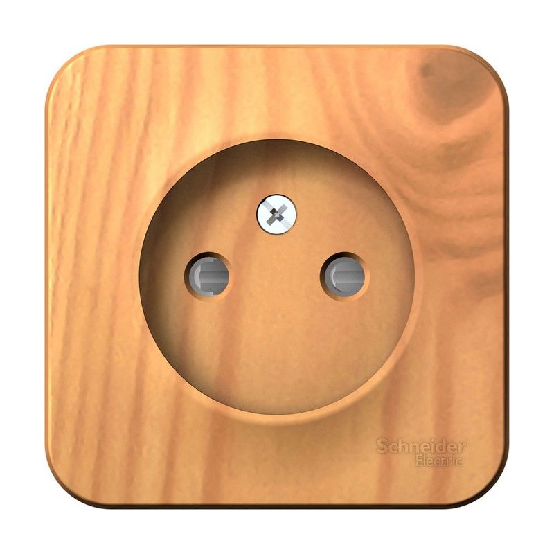 Blanca ясень розетки и выключатели Розетка SE Blanca б/з Ясень наружный со шторками изолир. пластина BLNRA001115