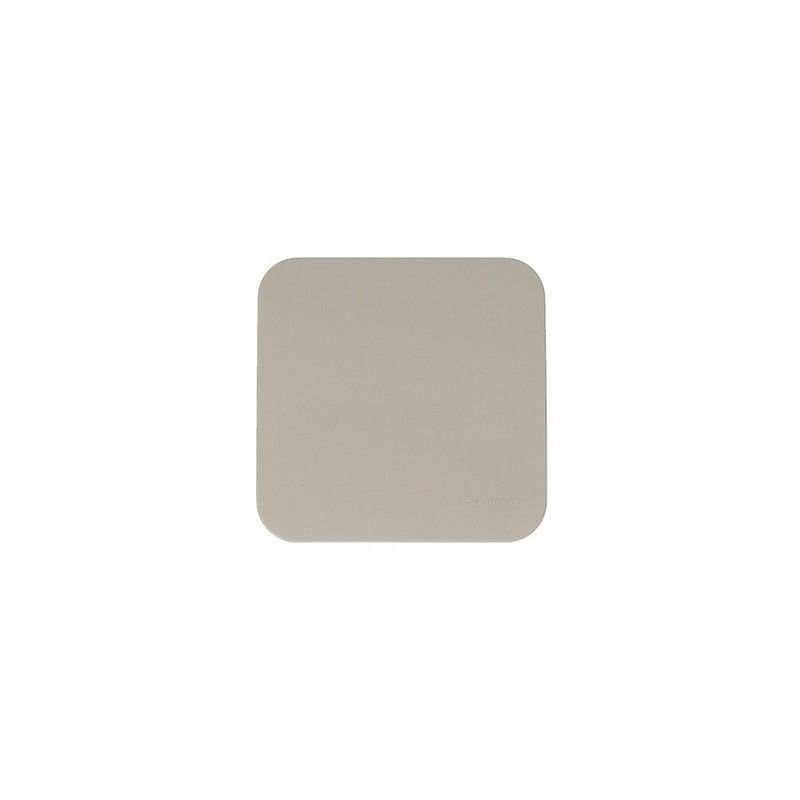 Blanca бежевые розетки и выключатели Выключатель SE Blanca 1-клавишный Бежевый наружный (cх.1) изолир. пластина BLNVA101017