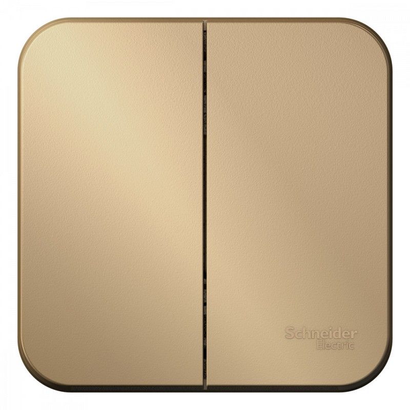 Blanca титан розетки и выключатели Выключатель SE Blanca 2-клавишный Титан наружный изолир. пластина BLNVA105014