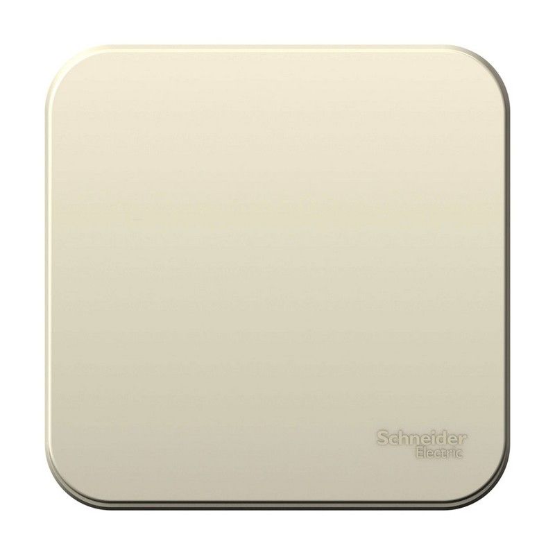 Blanca молочные розетки и выключатели Выключатель SE Blanca 1-клавишный Молочный наружный с самовозвратом изолир. пластина BLNCA101012