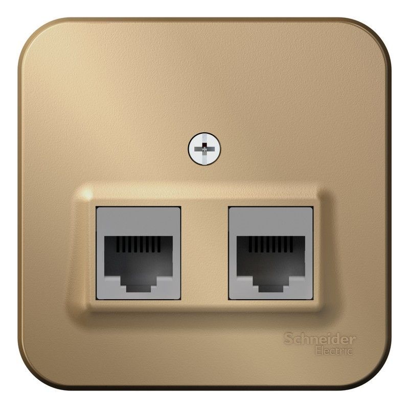 Blanca титан розетки и выключатели Розетка SE Blanca 2-ая Титан наружный компьютерная RJ45 кат.5E изол. пластина BLNIA045454