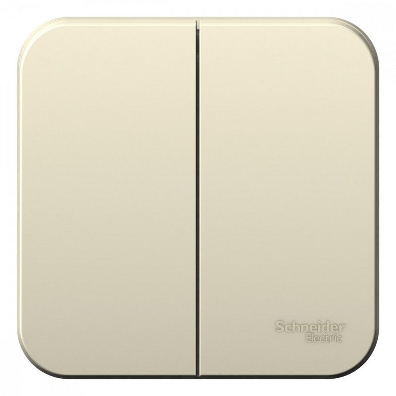 Blanca молочные розетки и выключатели Выключатель SE Blanca 2-клавишный Молочный наружный 6А BLNVA065002