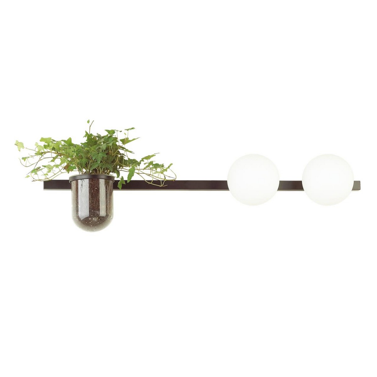 Накладные светодиодные светильники Настенный светильник ODEON LIGHT 4681/2W FLOWER 