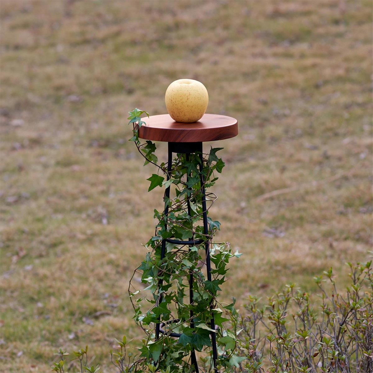 Светодиодные ландшафтные светильники Ландшафтный грунтовый светильник ODEON LIGHT 7108/15GL LIANA 