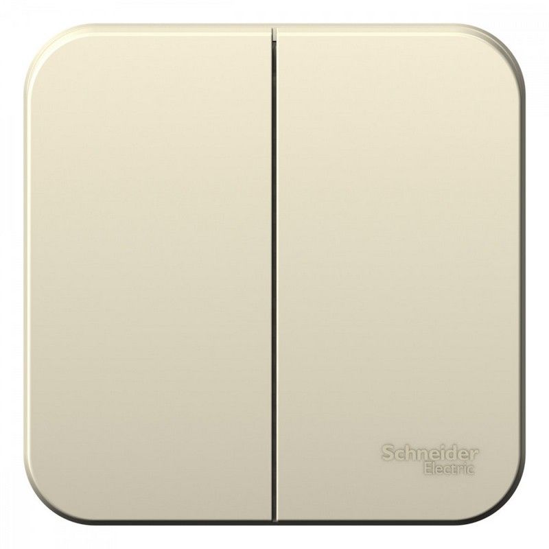 Blanca молочные розетки и выключатели Выключатель SE Blanca 2-клавишный Молочный наружный 6А изолир. пластина BLNVA065012