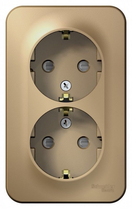 Blanca титан розетки и выключатели Розетка SE Blanca 2-ая Титан наружный с/з со шторками изолир. пластина BLNRA011214