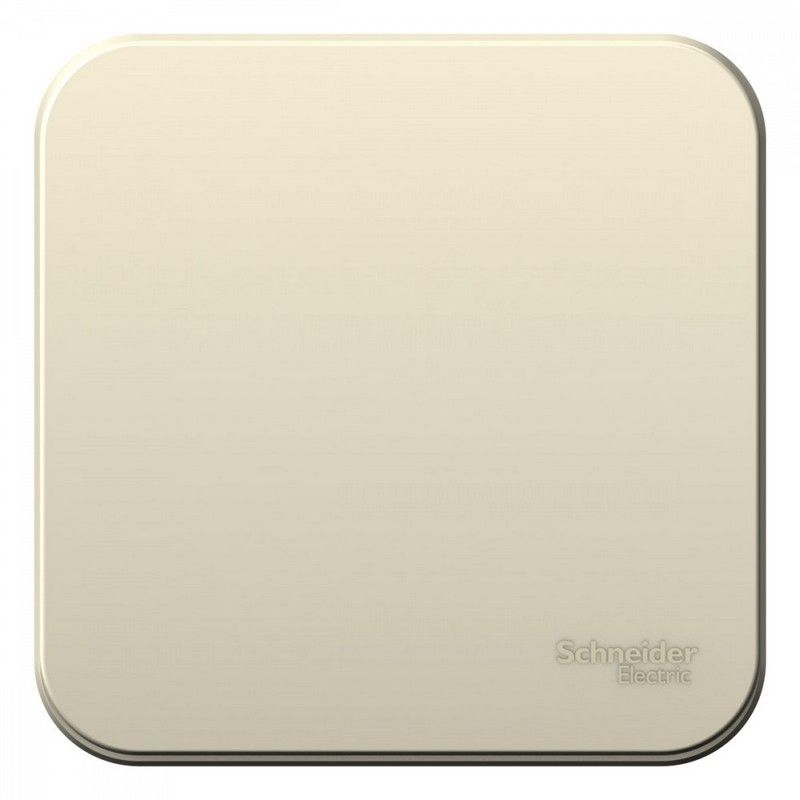 Blanca молочные розетки и выключатели Выключатель SE Blanca 1-клавишный Молочный наружный изолир. пластина BLNVA101012