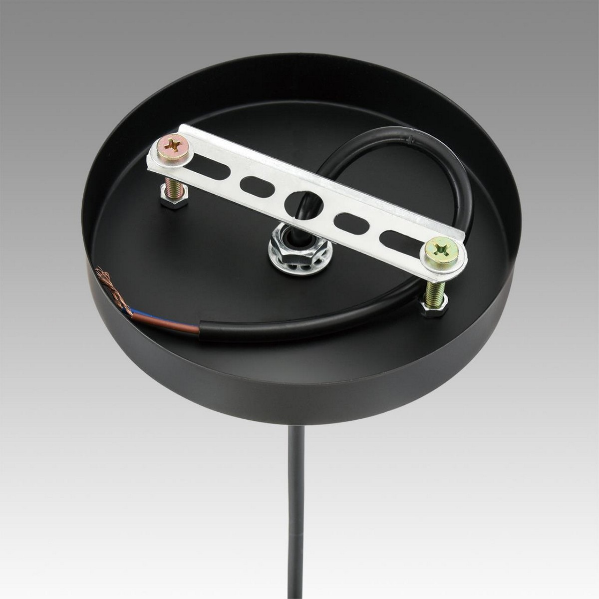 Подвесные светодиодные светильники Светильник подвесной LUMION 8056/1A ELENIKA 