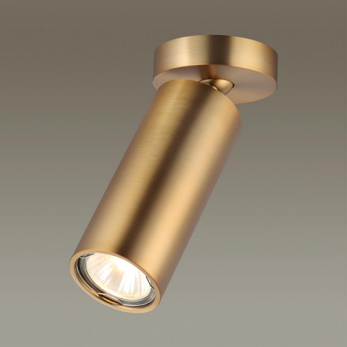 Накладные светодиодные светильники Потолочный накладной светильник ODEON LIGHT 4279/1C NINO 