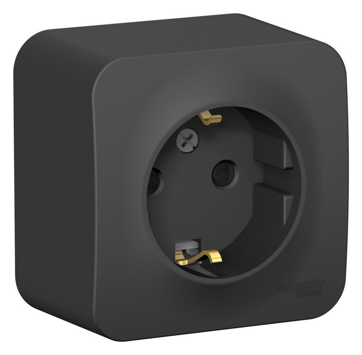 Blanca антрацит розетки и выключатели Розетка SE Blanca с/з Антрацит наружный со шторками BLNRA011106