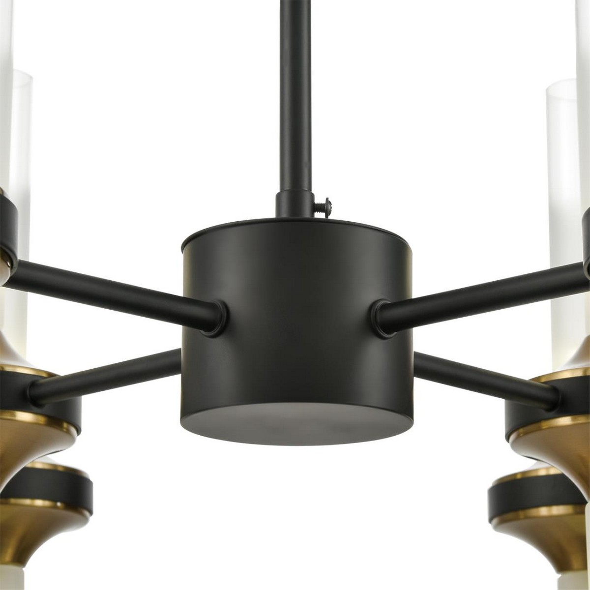 Люстры Люстра потолочная LUMION 8112/24 TAMARESA 