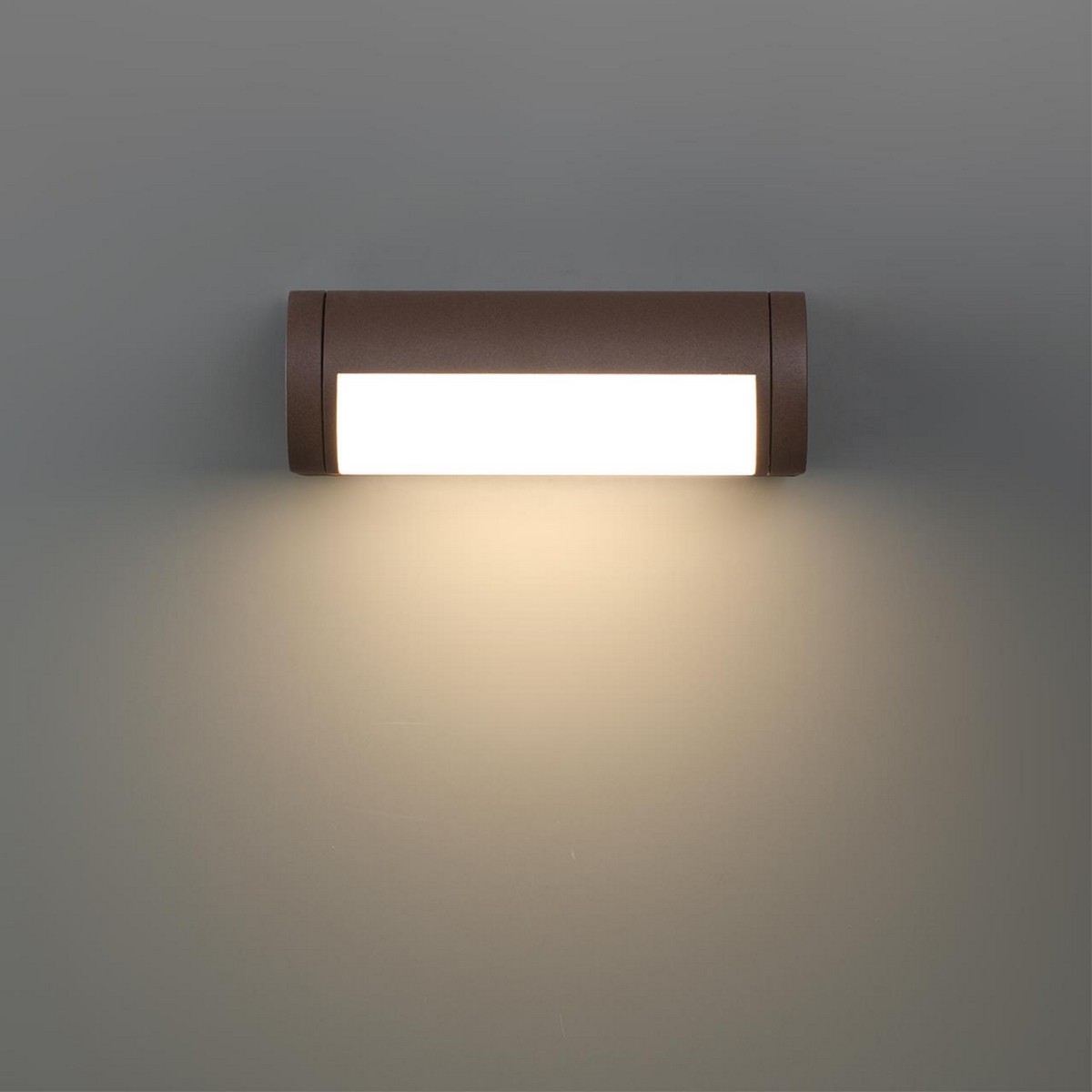 Накладные светодиодные светильники Настенный светильник ODEON LIGHT 7118/12WL TWINSET 