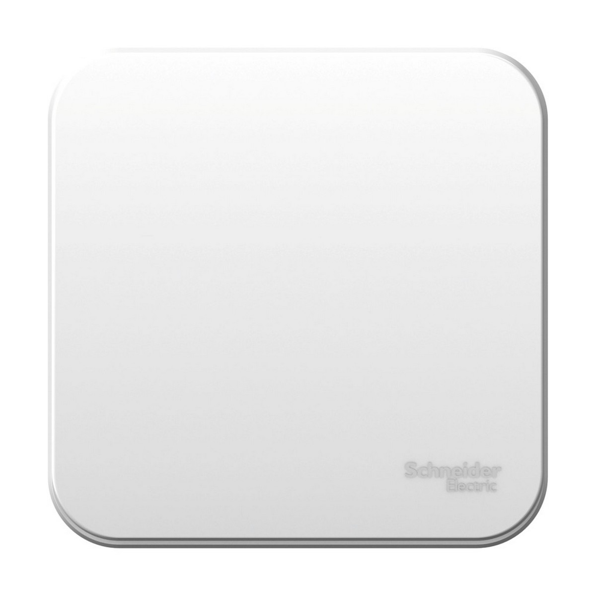 Blanca белые розетки и выключатели Выключатель SE Blanca 1-клавишный Белый наружный монтажная пластина BLNVA101021