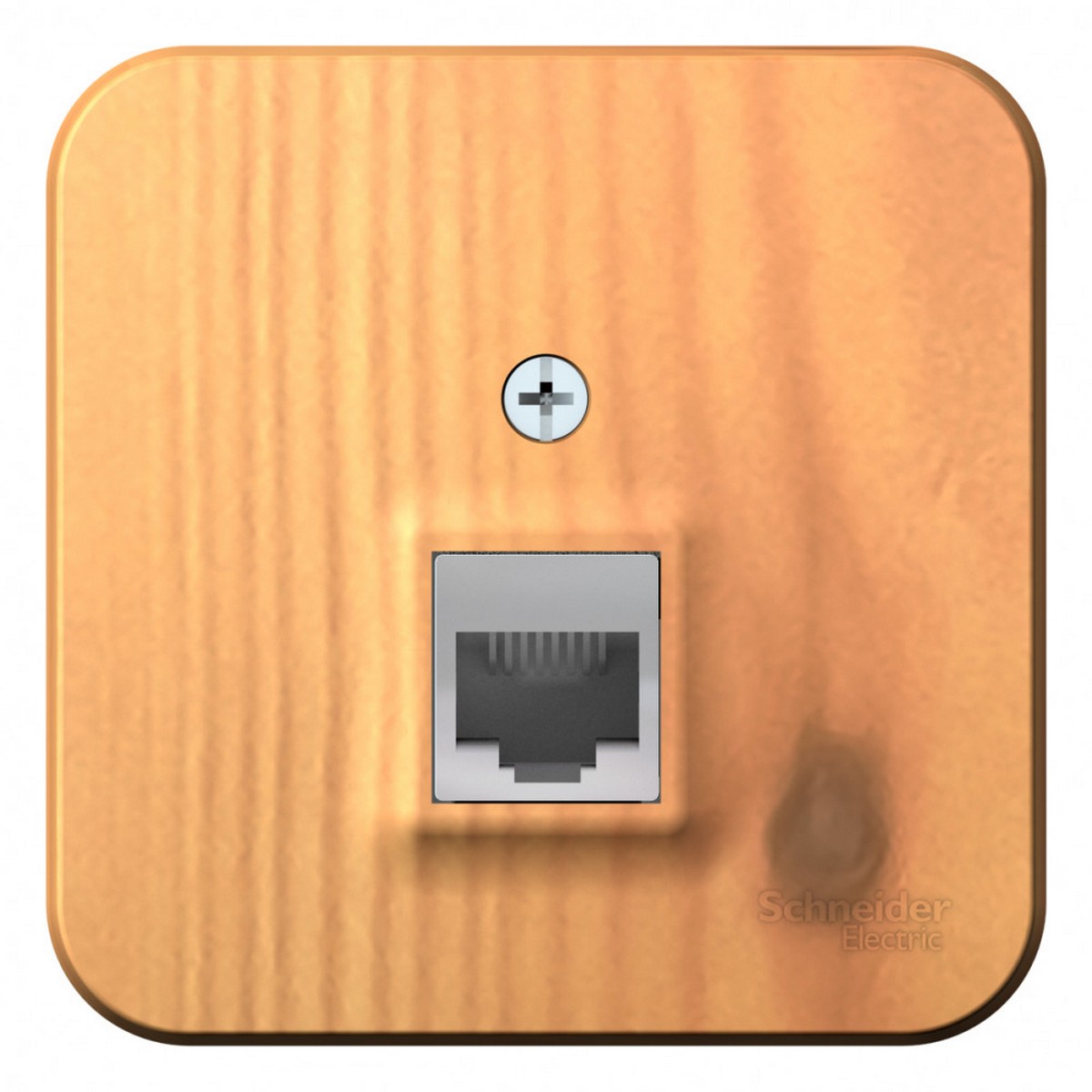 Blanca ясень розетки и выключатели Розетка SE Blanca компьютерная Ясень наружный RJ45 кат.5E изолир. пластина BLNIA045005