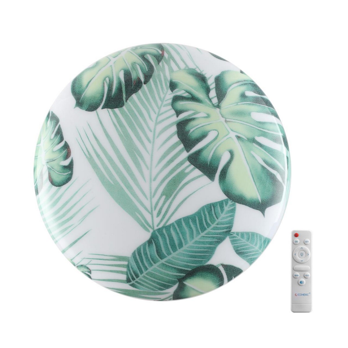 Управляемые светодиодные светильники и люстры Настенно-потолочный светильник СОНЕКС 7748/DL FLORI