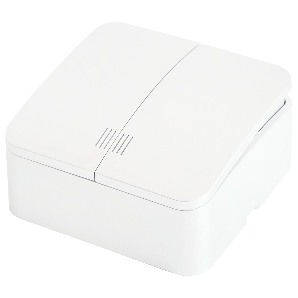 Накладные розетки и выключатели Stekker Выключатель STEKKER открытой установки 2-клавишный MSW10-21-01 с индикатором София белый 49290