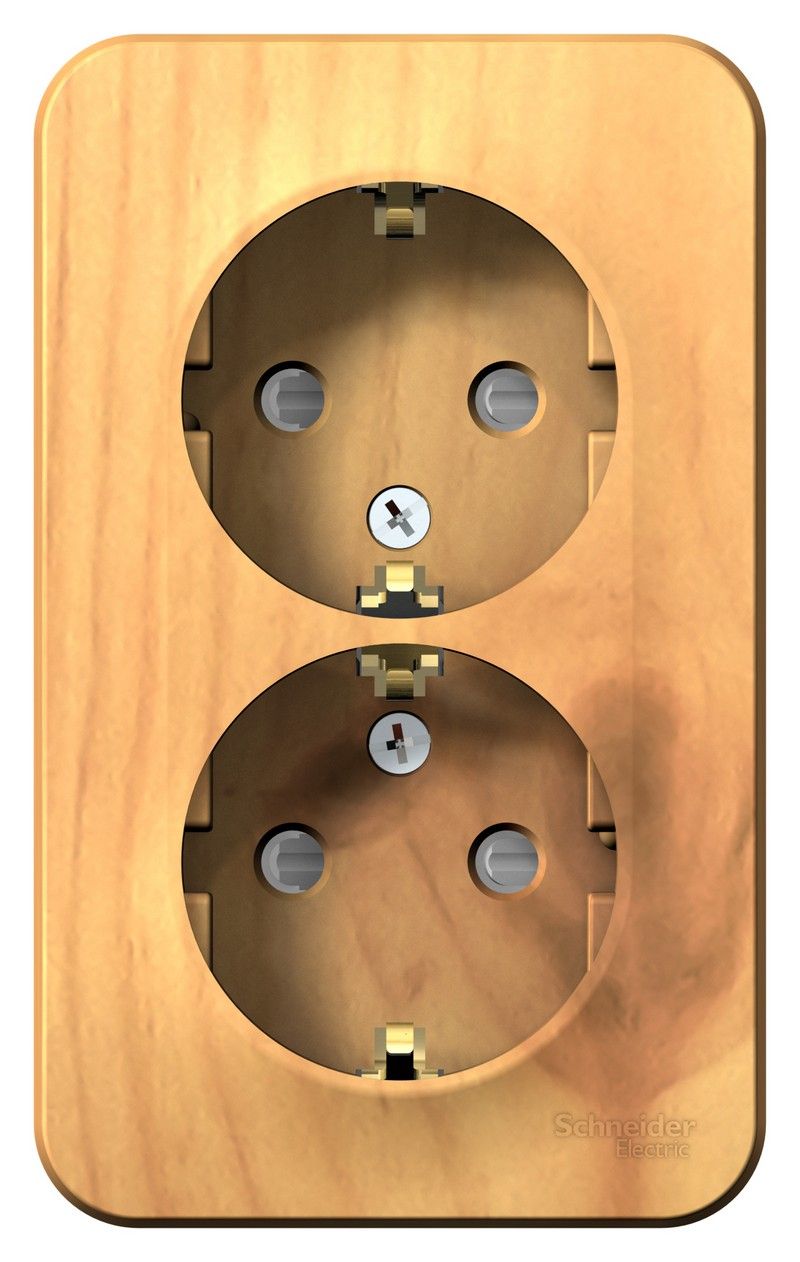 Blanca ясень розетки и выключатели Розетка SE Blanca 2-ая Ясень наружный с/з со шторками изолир. пластина BLNRA011215