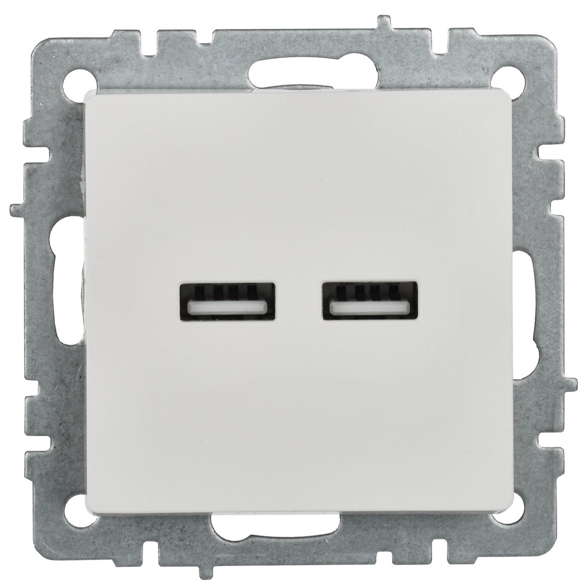 IEK Brite Белый Розетка IEK BRITE USB A+A 3,1А РЮ10-1-БрБ белый BR-U21-D31-K01