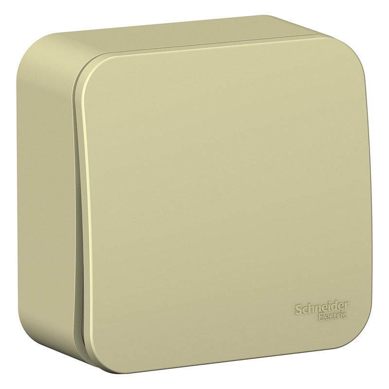 Blanca бежевые розетки и выключатели Выключатель SE Blanca 1-клавишный Бежевый наружный (cх.1) с самовозвратом изолир. пластина BLNCA1010