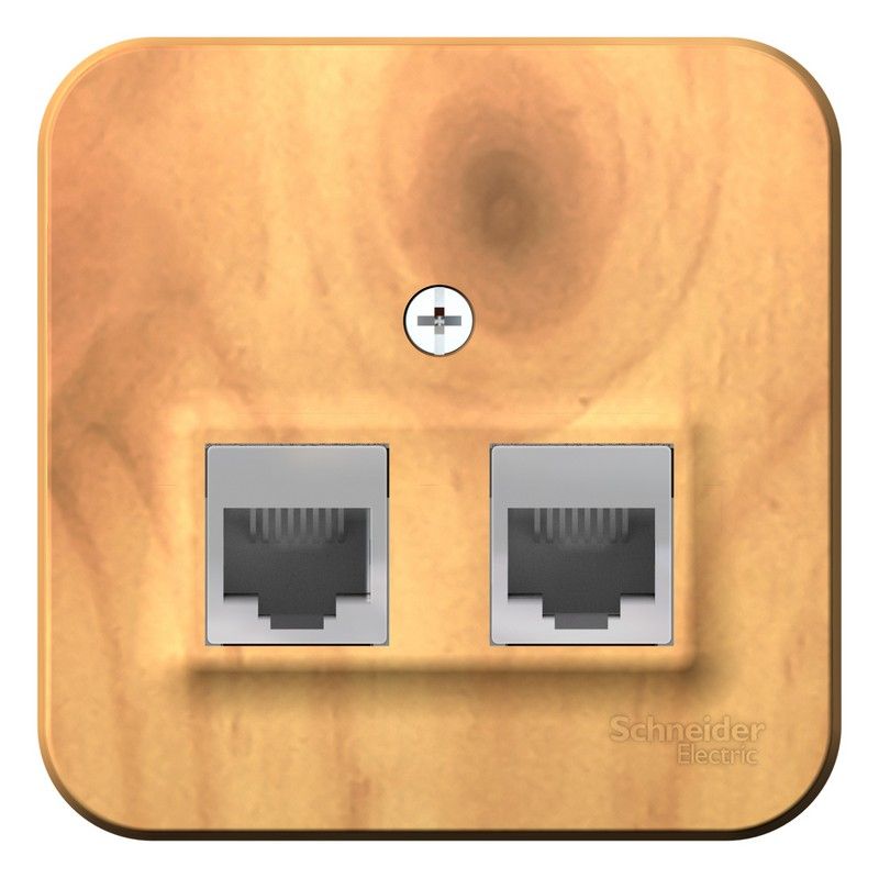 Blanca ясень розетки и выключатели Розетка SE Blanca 2-ая Ясень наружный ТЛФ/КОМП RJ45+RJ11 кат.5E изолир. пластина BLNIA045115