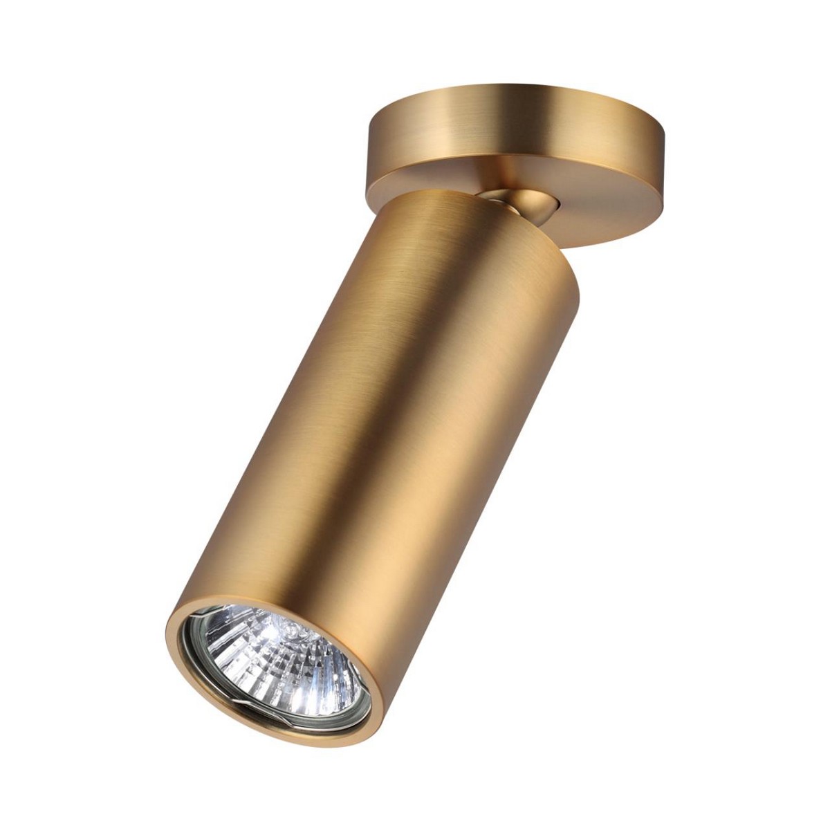 Накладные светодиодные светильники Потолочный накладной светильник ODEON LIGHT 4279/1C NINO 