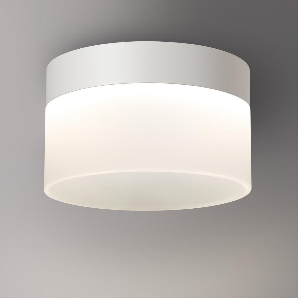 Накладные светодиодные светильники Светильник накладной светодиодный NOVOTECH AURA 359445 