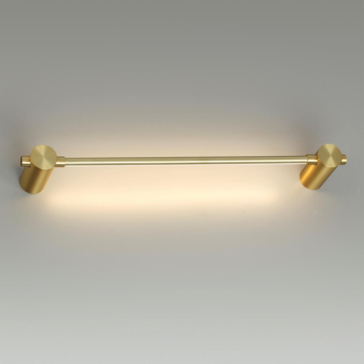 Накладные светодиодные светильники Настенный светильник ODEON LIGHT 4396/6WL DALIA 