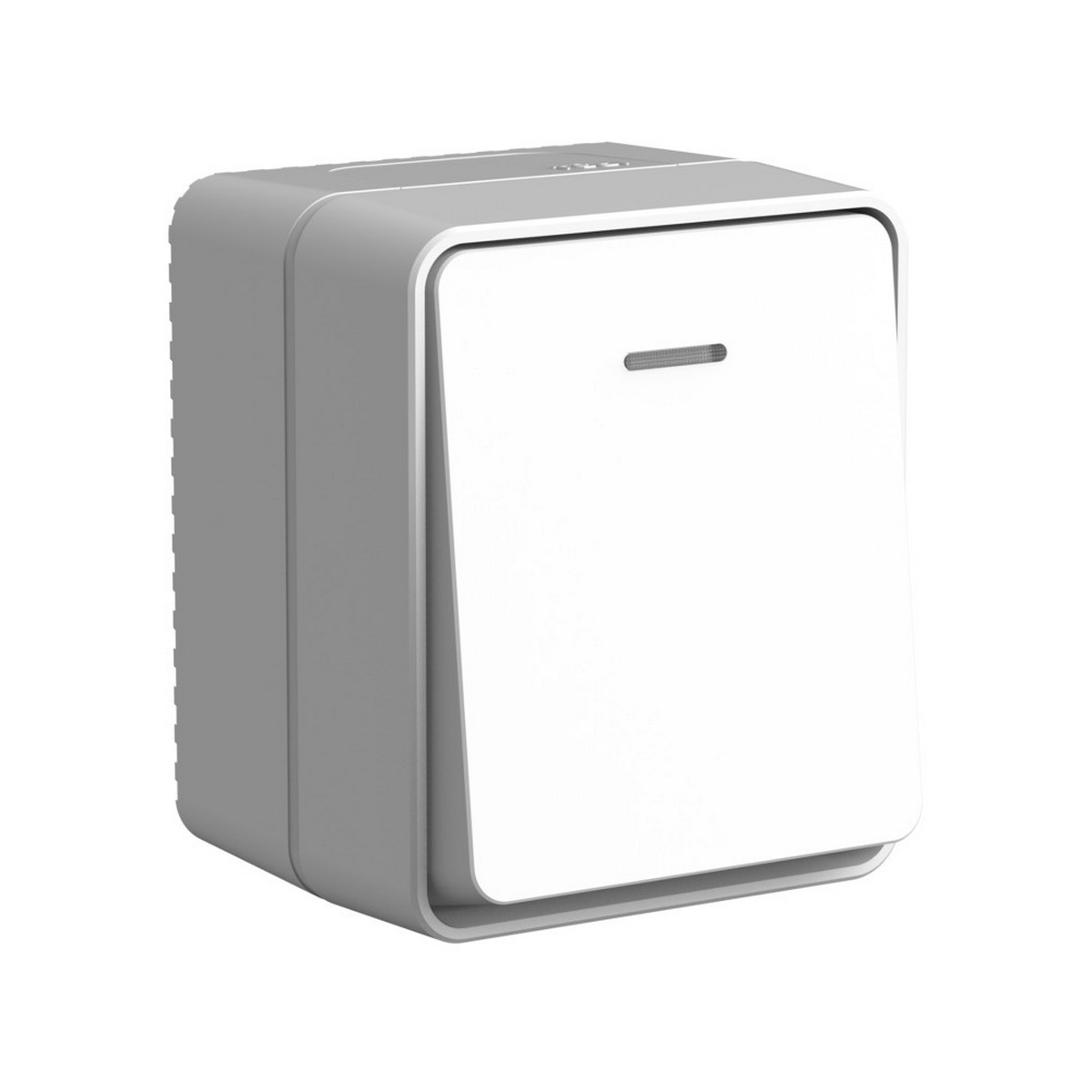 AtlasDesign Алюминий Выключатель Systeme Electric AtlasDesign Profi54 Наруж Серый 1-клавишный с подсветкой 10 АХ ATN543013