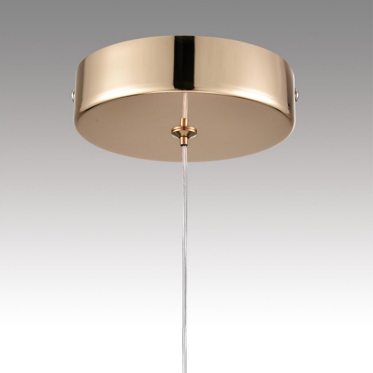 Подвесные светодиодные светильники Светильник подвесной LUMION 8083/1A RIMINI 