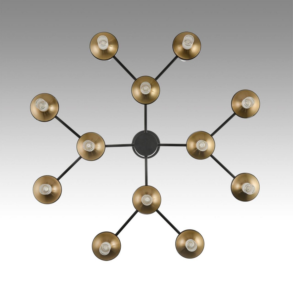 Люстры Люстра потолочная LUMION 8112/24 TAMARESA 