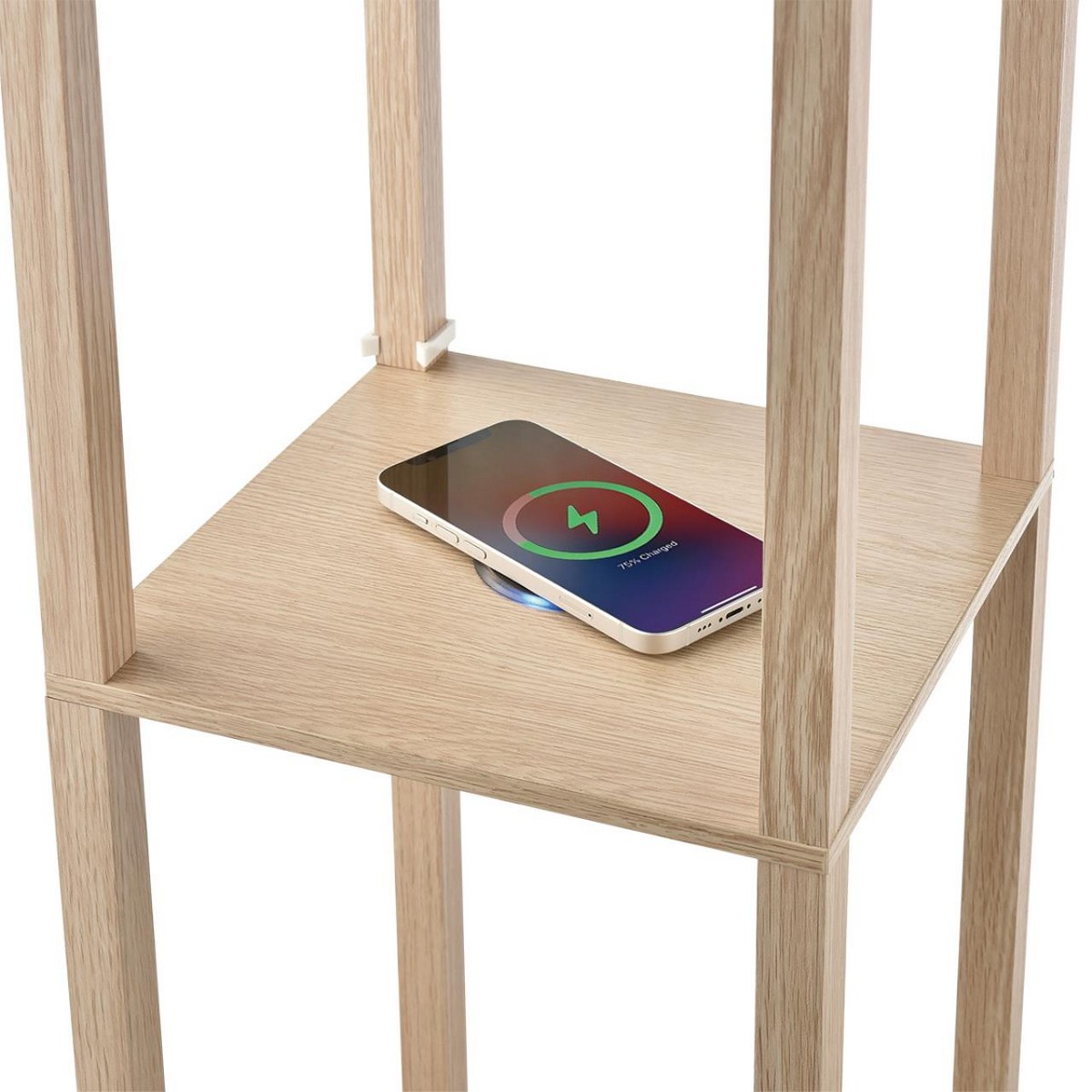 Торшеры Торшер LUMION 8091/1F PRACTIC 