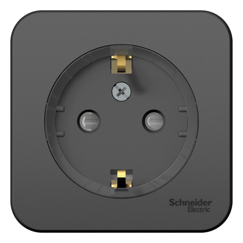 Blanca антрацит розетки и выключатели Розетка SE Blanca с/з Антрацит наружный со шторками (тонкая) изолир. пластина BLNRA111116