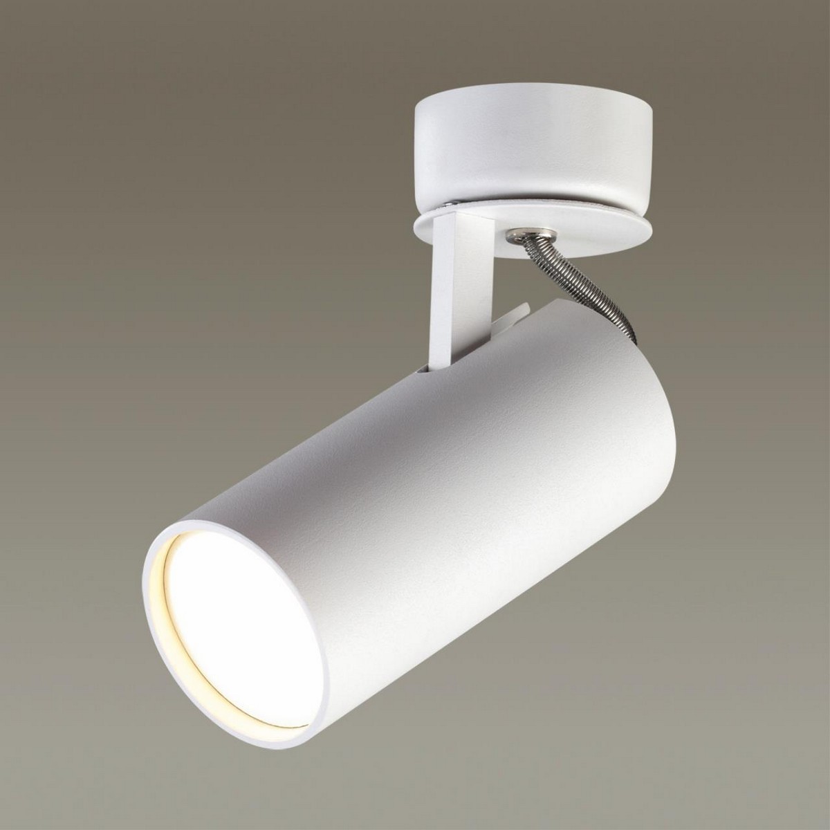 Накладные светодиодные светильники Светильник потолочный ODEON LIGHT 3873/1C KIKO 