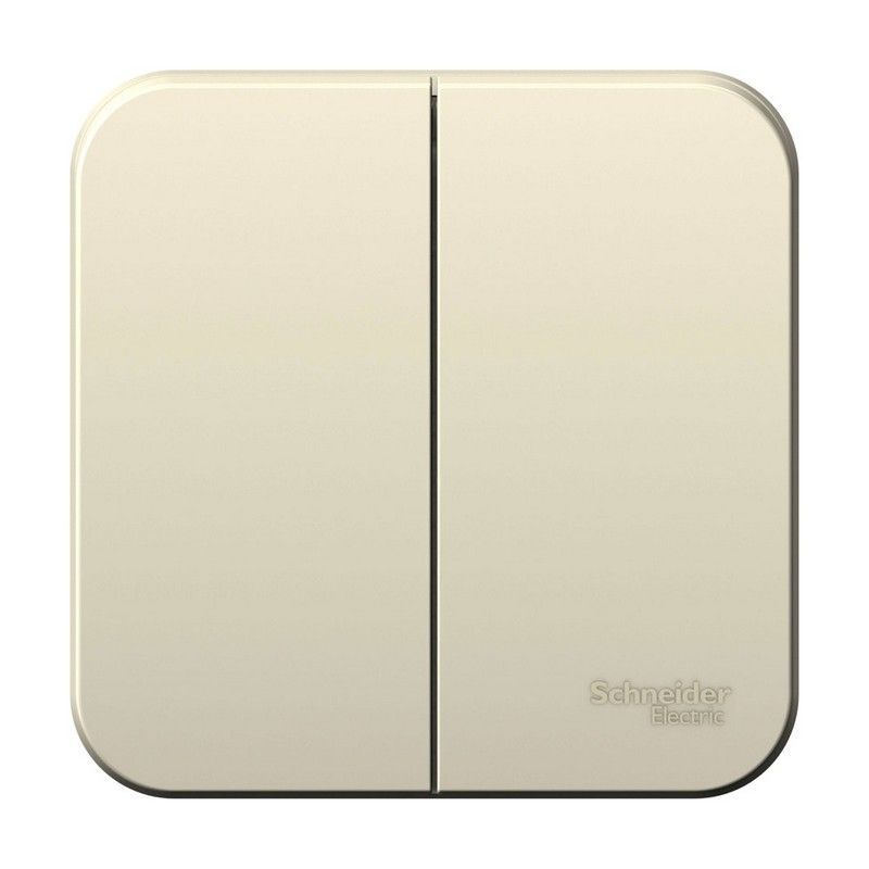 Blanca молочные розетки и выключатели Выключатель SE Blanca 2-клавишный Молочный наружный изолир. пластина BLNVA105012