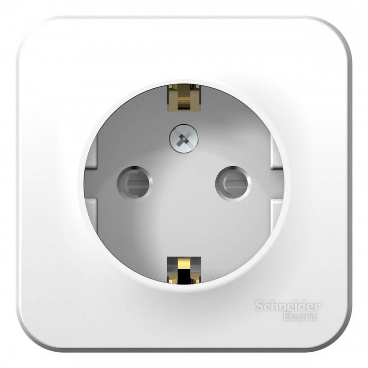 Blanca белые розетки и выключатели Розетка SE Blanca с/з Белый наружный со шторками изолир. пластина BLNRA011111