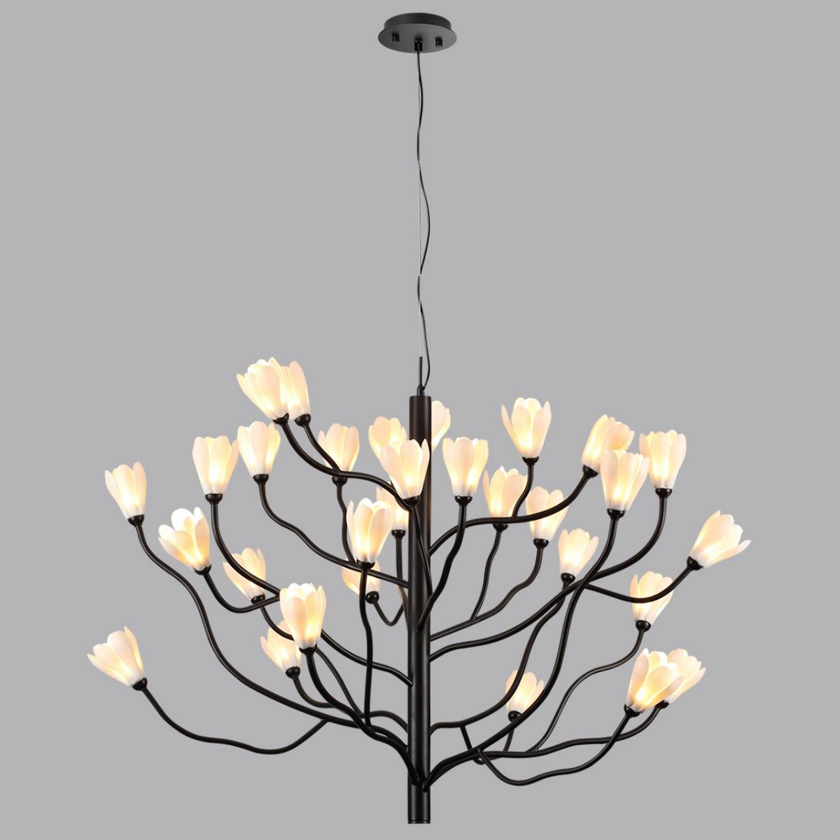 Люстры Люстра ODEON LIGHT 5090/30 GARDI G4 LED 