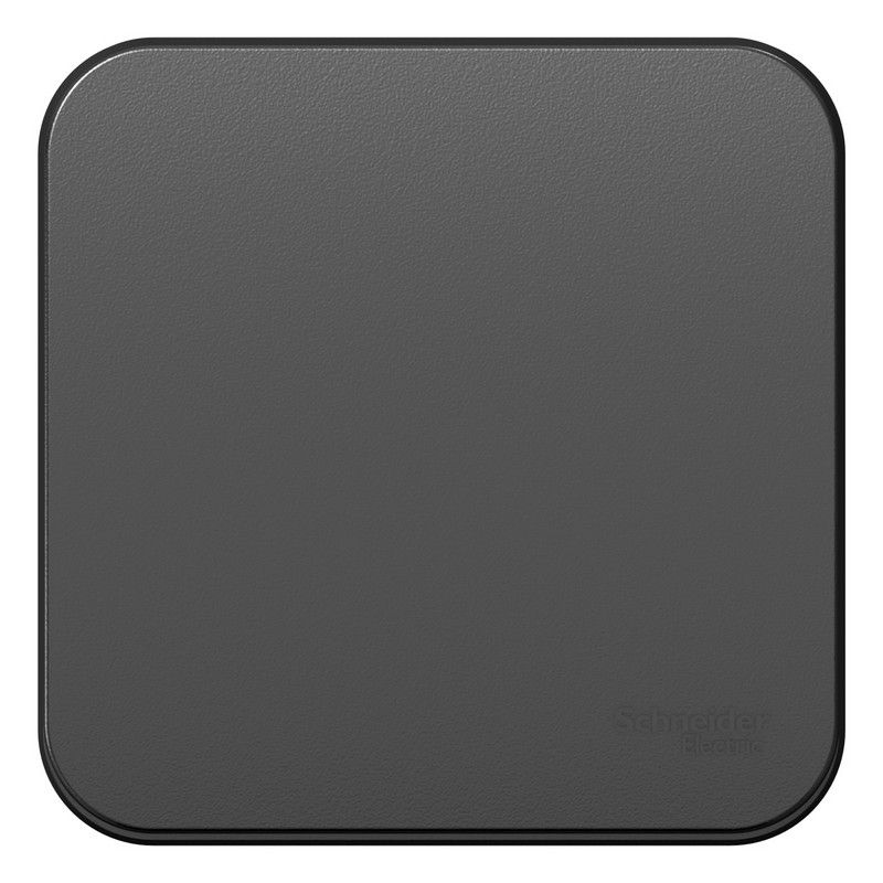 Blanca антрацит розетки и выключатели Выключатель SE Blanca 1-клавишный Антрацит наружный изолир. пластина BLNVA101016