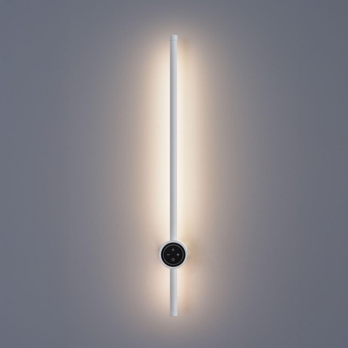 Накладные светодиодные светильники Настенный светильник LUMION 8309/12WL BRAM 