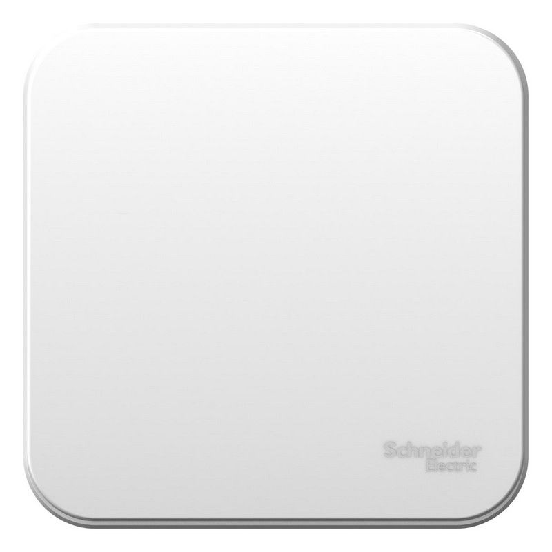 Blanca белые розетки и выключатели Выключатель SE Blanca 1-клавишный Белый наружный 6А изолир. пластина BLNVA061011