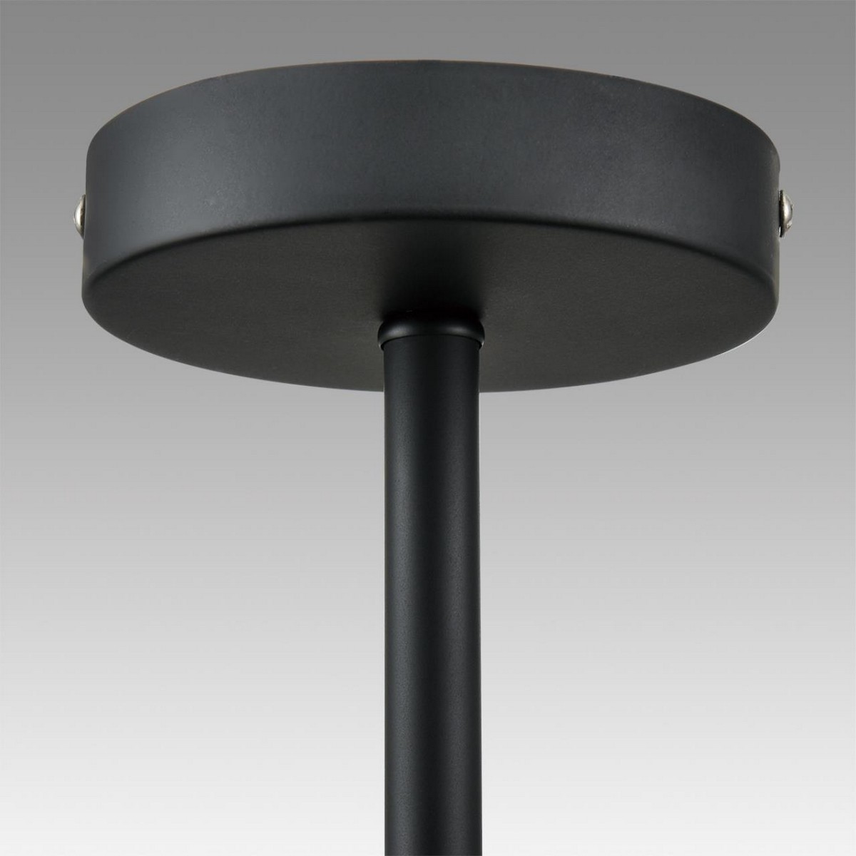 Люстры Люстра потолочная LUMION 8060/6C CAMILIE 