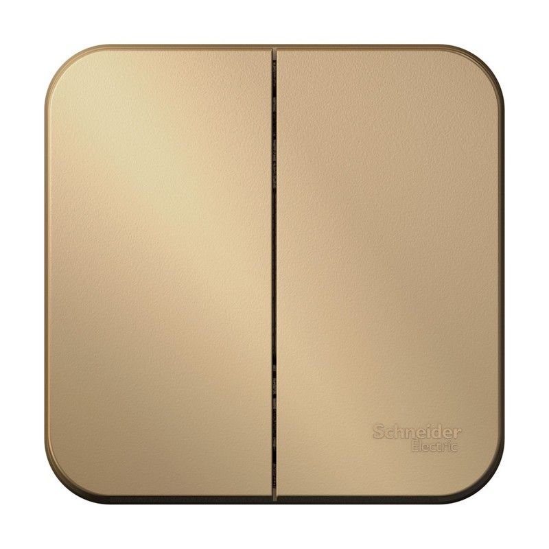 Blanca титан розетки и выключатели Выключатель SE Blanca 2-клавишный Титан наружный изолир. пластина BLNVA105014