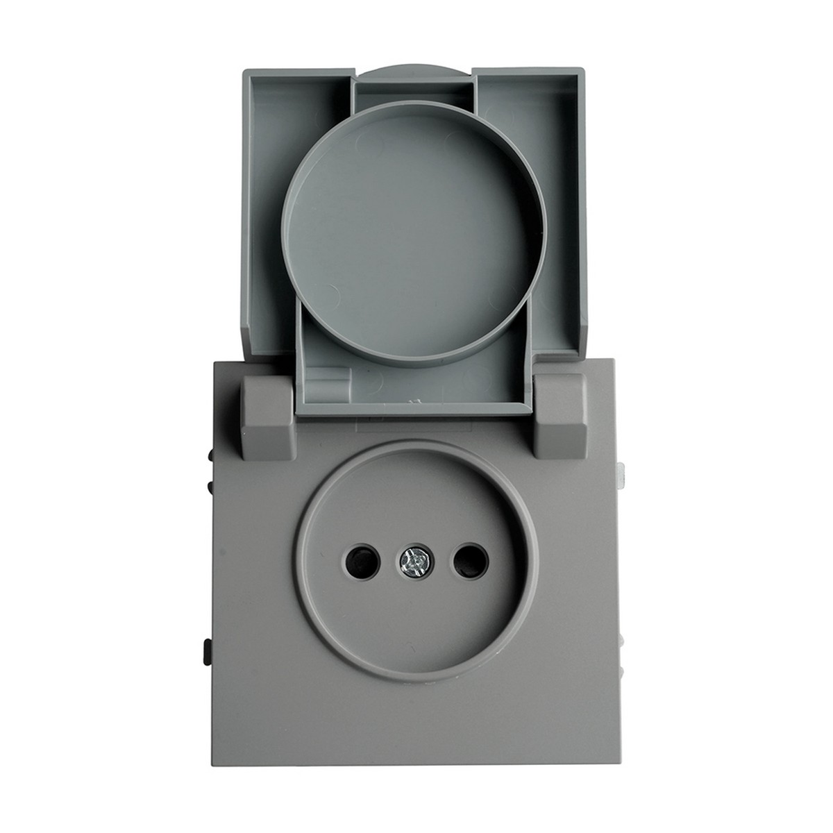 Эмили - Розетки и выключатели Stekker Розетка 1-ая с крышкой с защ. штор б/з STEKKER Эмили RST16-5113-10 платиново-серый soft touch 49956