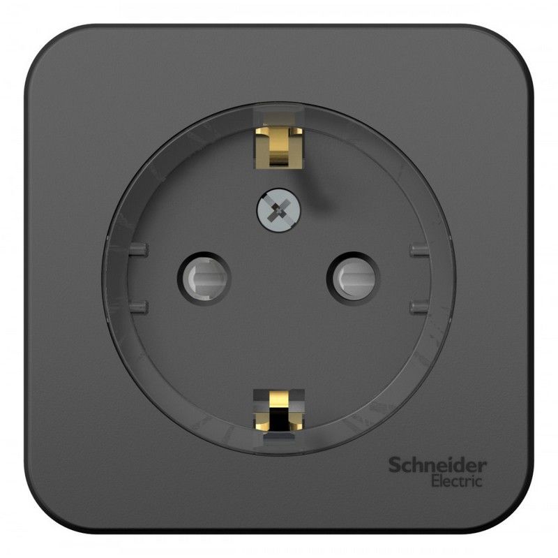 Blanca антрацит розетки и выключатели Розетка SE Blanca с/з Антрацит наружный со шторками (тонкая) изолир. пластина BLNRA111116