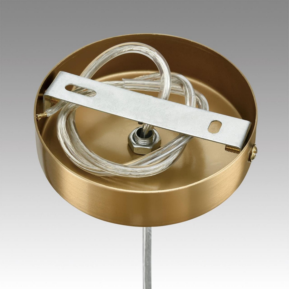 Подвесные светодиодные светильники Подвес LUMION 6593/1 JANE 